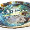 5″- 6″ Abalone Shell incense burner 5″- 6″ Abalone Shell incense burner