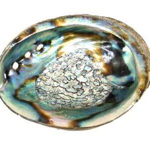 3″ – 4″ Abalone Shell incense burner