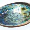 6″ Abalone Shell incense burner (B quality) 6″ Abalone Shell incense burner (B quality)