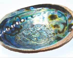6″ Abalone Shell incense burner (B quality)