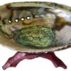 5″- 6″ Abalone Shell incense burner with stand 5″- 6″ Abalone Shell incense burner with stand