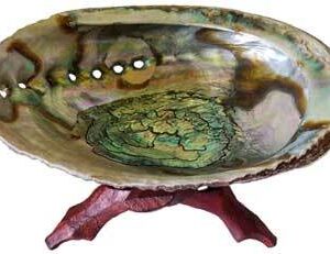 5″- 6″ Abalone Shell incense burner with stand