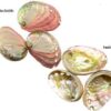 2″ – 3″ Abalone Shell incense burner 2″ – 3″ Abalone Shell incense burner