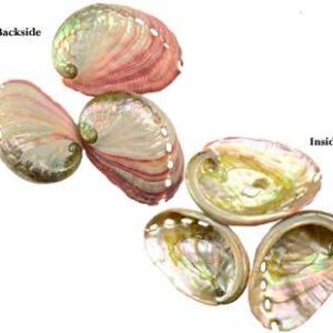 2″ – 3″ Abalone Shell incense burner
