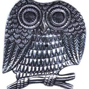 4″ Owl ash catcher
