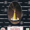 Palo Santo dhoop cones satya (12/pk) Palo Santo dhoop cones satya (12/pk)