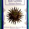 Rain Goddess escential essences incense sticks 16 pack Rain Goddess escential essences incense sticks 16 pack