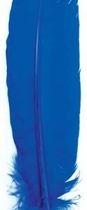 Blue Feather 12″