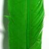Green Feather 12″ Green Feather 12″