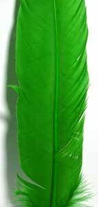 Green Feather 12″