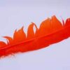 Orange feather 12″ Orange feather 12″