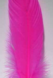 Pink feather 12″