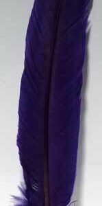 Purple feather 12″
