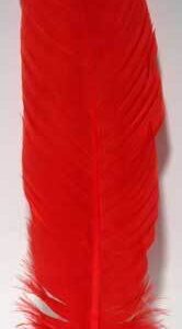 Red feather 12″