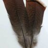 Bronze Pre-tail Turkey feather Bronze Pre-tail Turkey feather