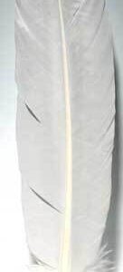White feather 12″