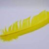 Yellow feather 12″ Yellow feather 12″