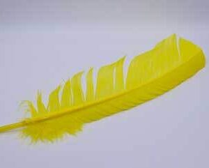 Yellow feather 12″