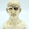 6″ Phrenology Head 6″ Phrenology Head
