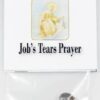 Job’s Tears (seeds) Job’s Tears (seeds)