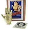 Palmistry Hand Palmistry Hand