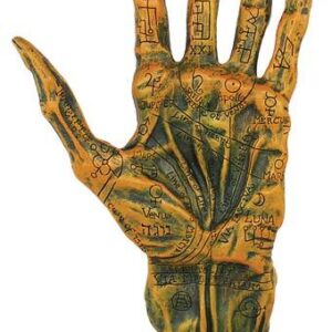 Alchemy Palmistry Hand