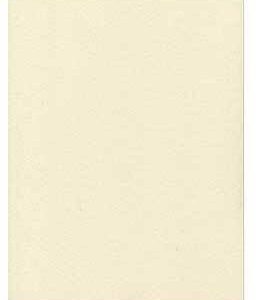 Heavy Parchment 250 Pack 8 1/2 x 11