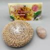 Patchouli Root with Rose Quartz Patchouli Root with Rose Quartz