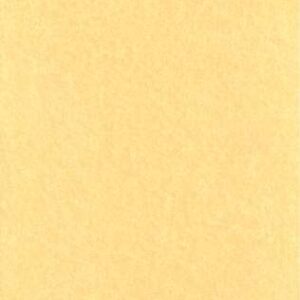Light Parchment 5 Pack (8 1/2″ x 11″)
