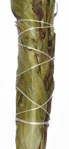 4″ Eucalyptus Citridora smudge stick
