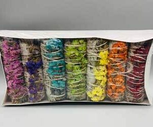 4″ 7 Color Sinuata White Sage gift pack