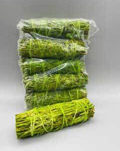 6 pk 4″ Patchouli Sage