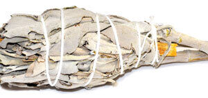 4″ Sage & Palo Santo smudge (not bagged)