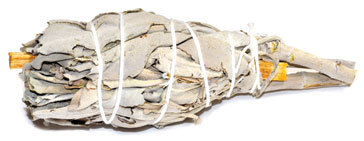 RS4SPS.jpg