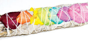 6 pk 7″ White Sage 7 Chakra colors stick