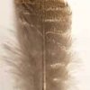 Barred Wing Smudging Feather Barred Wing Smudging Feather