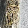 Sage & Copal smudge stick 7″ Sage & Copal smudge stick 7″