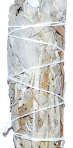 California White Sage smudge stick 3″