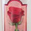 Anna Riva Rose water 2oz Anna Riva Rose water 2oz