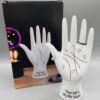 7 1/2″ Palmistry Hand 7 1/2″ Palmistry Hand