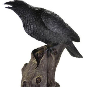 Raven 12″