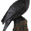 Backward Looking Raven 6″ Backward Looking Raven 6″