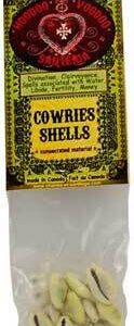 Cowries Shells (Coquilles Cauries)